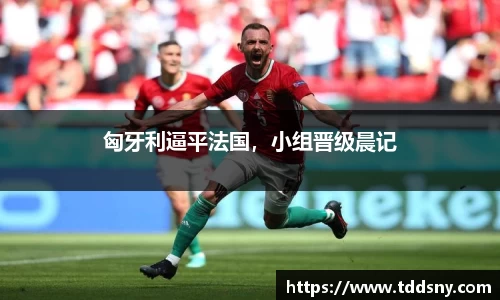 3377体育官网