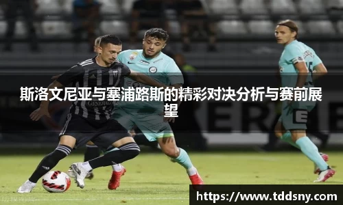 3377体育官网