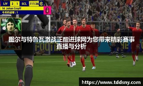 3377体育